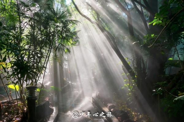 400多亩沃柑喜迎丰收