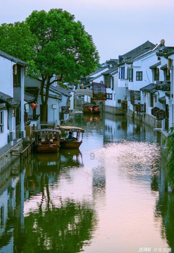 救援蝙蝠